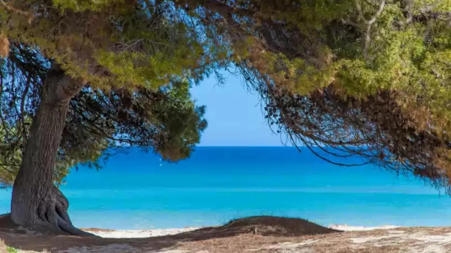 Tatil Evi Attractive Apartment With Free Wifi Port de Alcudia